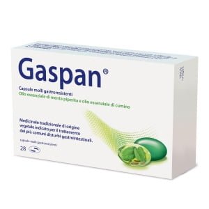 GASPAN 28 cps molli gastrores 90 mg + 50 mg