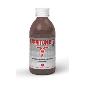 CARNITON B12 PET 80 CPR 1 G