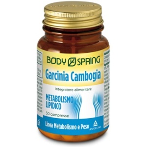 BS GARCINIA CAMB 50CPR BSP