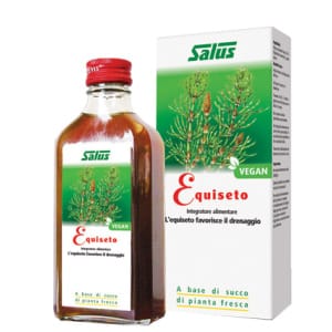 EQUISETO SUCCO S/ALC 200ML