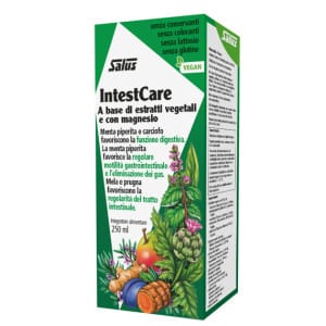 INTESTCARE LIQUIDO 250ML