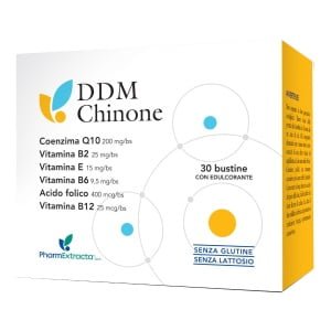 DDM CHINONE 30 BUSTINE