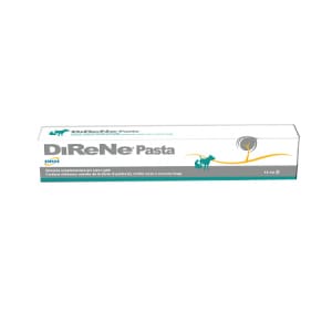 DIRENE PASTA 15ML