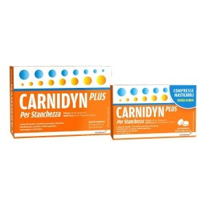 CARNIDYN PLUS 20 BUSTINE DA 5 G GUSTO ARANCIA