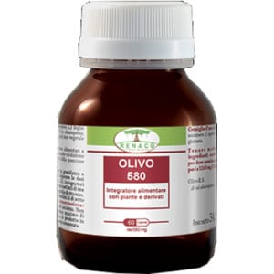 OLIVO 580 60CPS