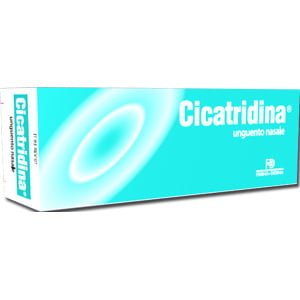 CICATRIDINA UNGUENTO NASALE 15 G