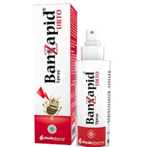 BANZAPID SPR TRATTAMENTO 100ML