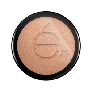 ROUGJ POLV ILLUMINANTE 9G<