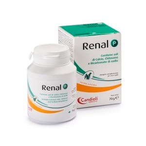 RENAL P 80G