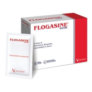 FLOGASINE 20 BUSTINE