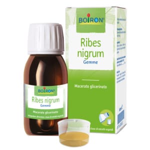 RIBES NIGRUM MG 60ML INT