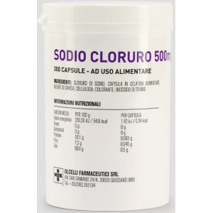 SODIO CLORURO 300CPS 500MG OLCEL