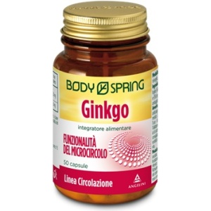 BS GINKGO 120MG 50CPS BSP