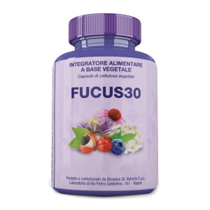 FUCUS30 60CPS 29,4G