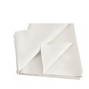 FARMABED Telo Impermeabile S/O 90x150