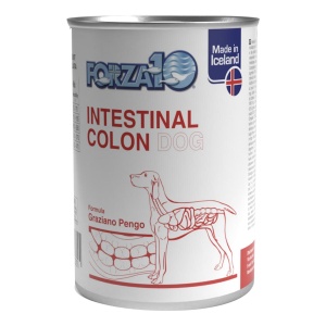 F10 CANE INTESTINAL COLON 390