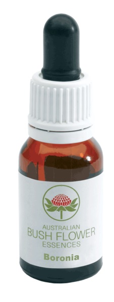 BORONIA AUSTRALIAN 15ML GTT