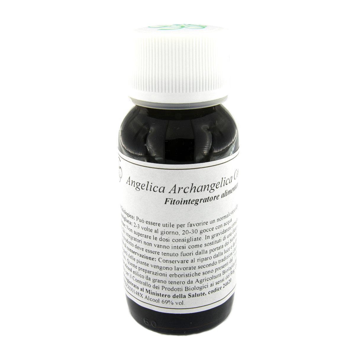 LVS 06N Angelica Arch.Comp.