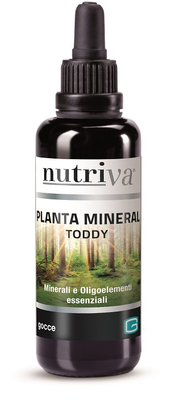 NUTRIVA PLANTA MINERAL TODDY 50M