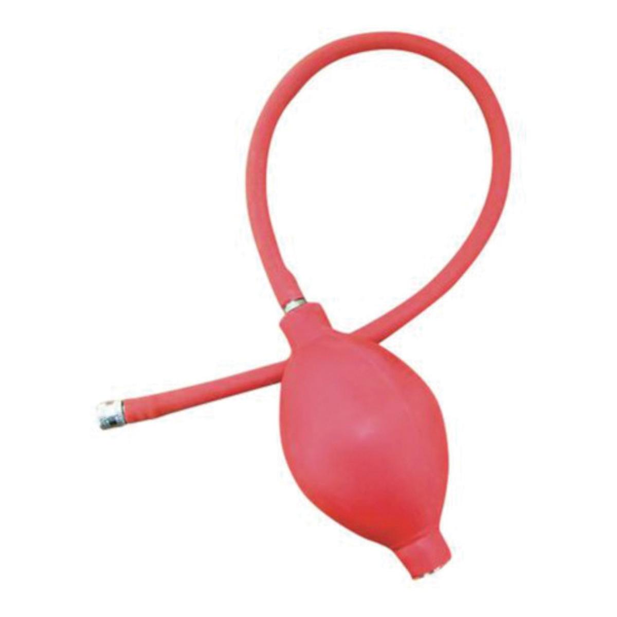 FARMACARE Pompetta Gonfia Ciambella