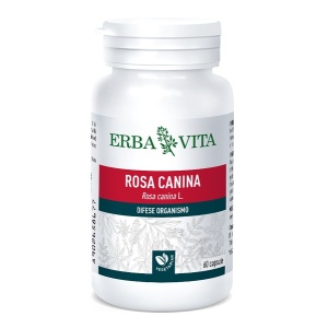 ROSA CANINA 60CPS 400MG EBV <